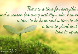 29465-01062016-Ecclesiastes-3-1-2-social.1100w.tn