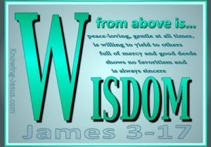 James 3-17 Wisdom From Above green